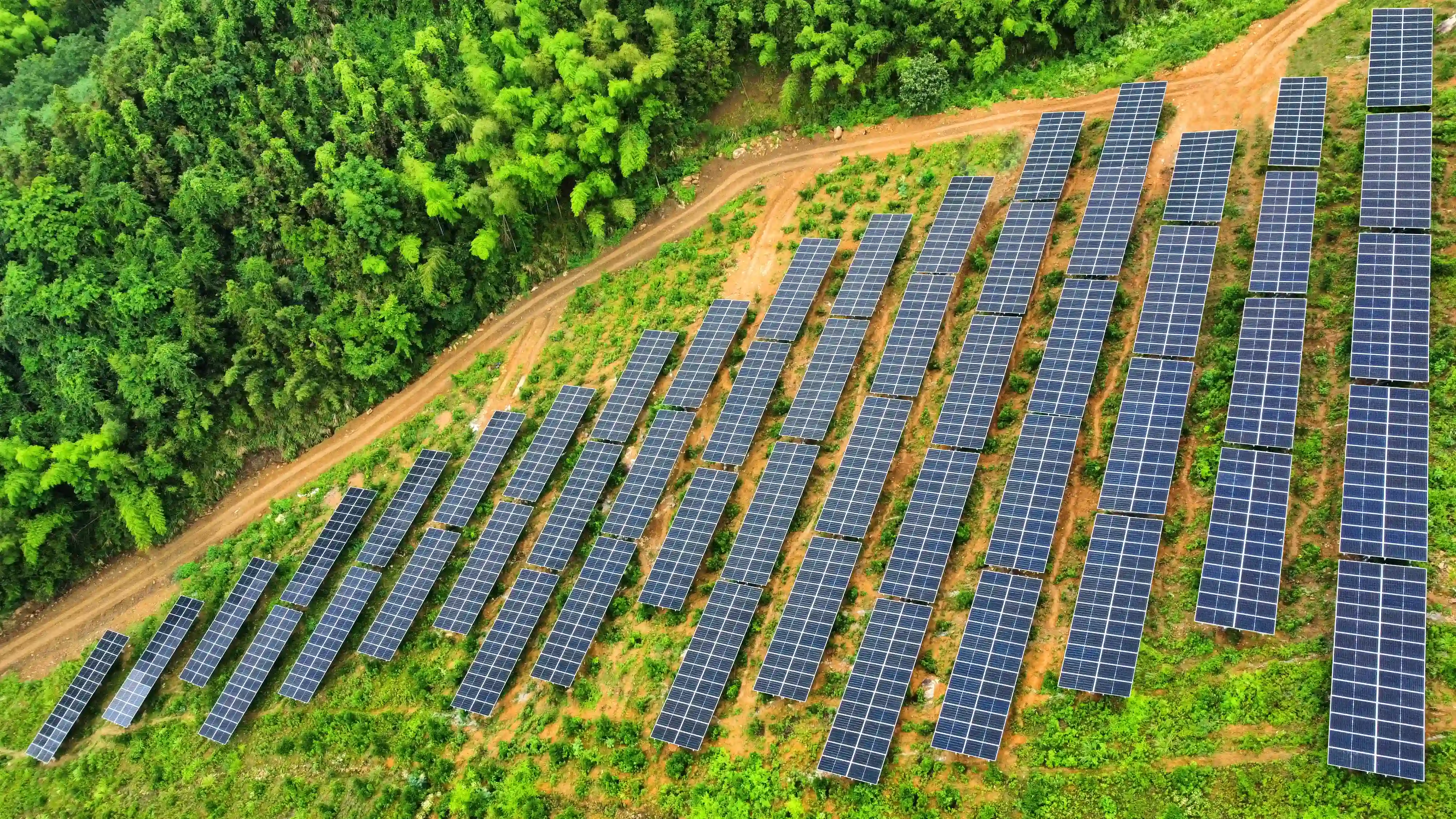 1750152607241431.webp WPS图片(1) (1) (1).webp